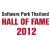 Hall of Frame 2012 by Software Park